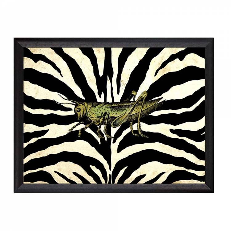 Picture with frame - Grasshopper - Large