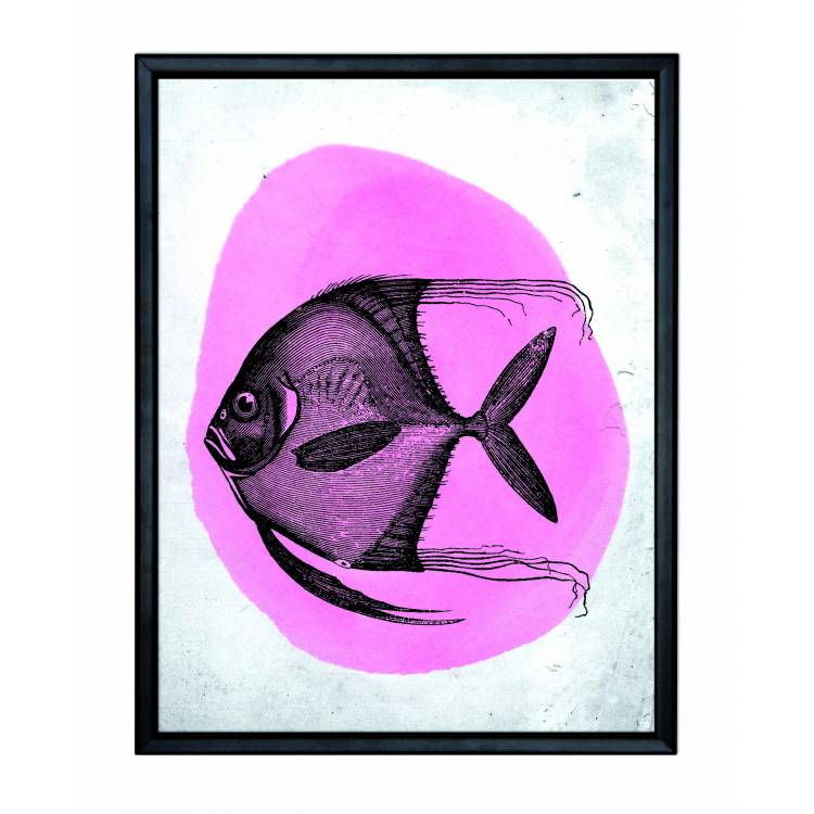 Picture with frame - Pink fish - Small