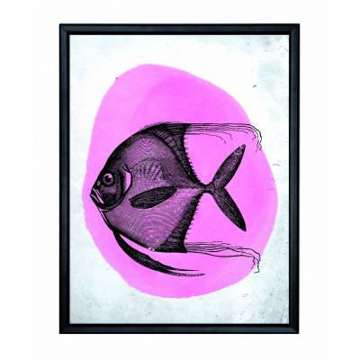 Picture with frame - Pink fish - Small