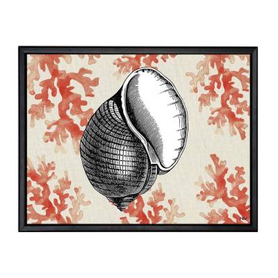 Picture with frame - Sea shell - Small