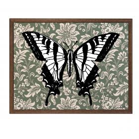 Obraz s rámom - Motýľ